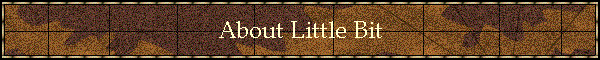 About Little Bit