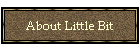 About Little Bit